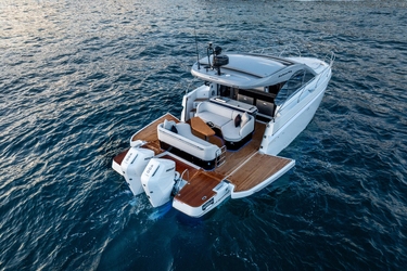 Экстерьер